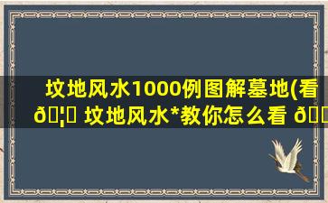 坟地风水1000例图解墓地(看 🦉 坟地风水*
教你怎么看 🐦 墓地)